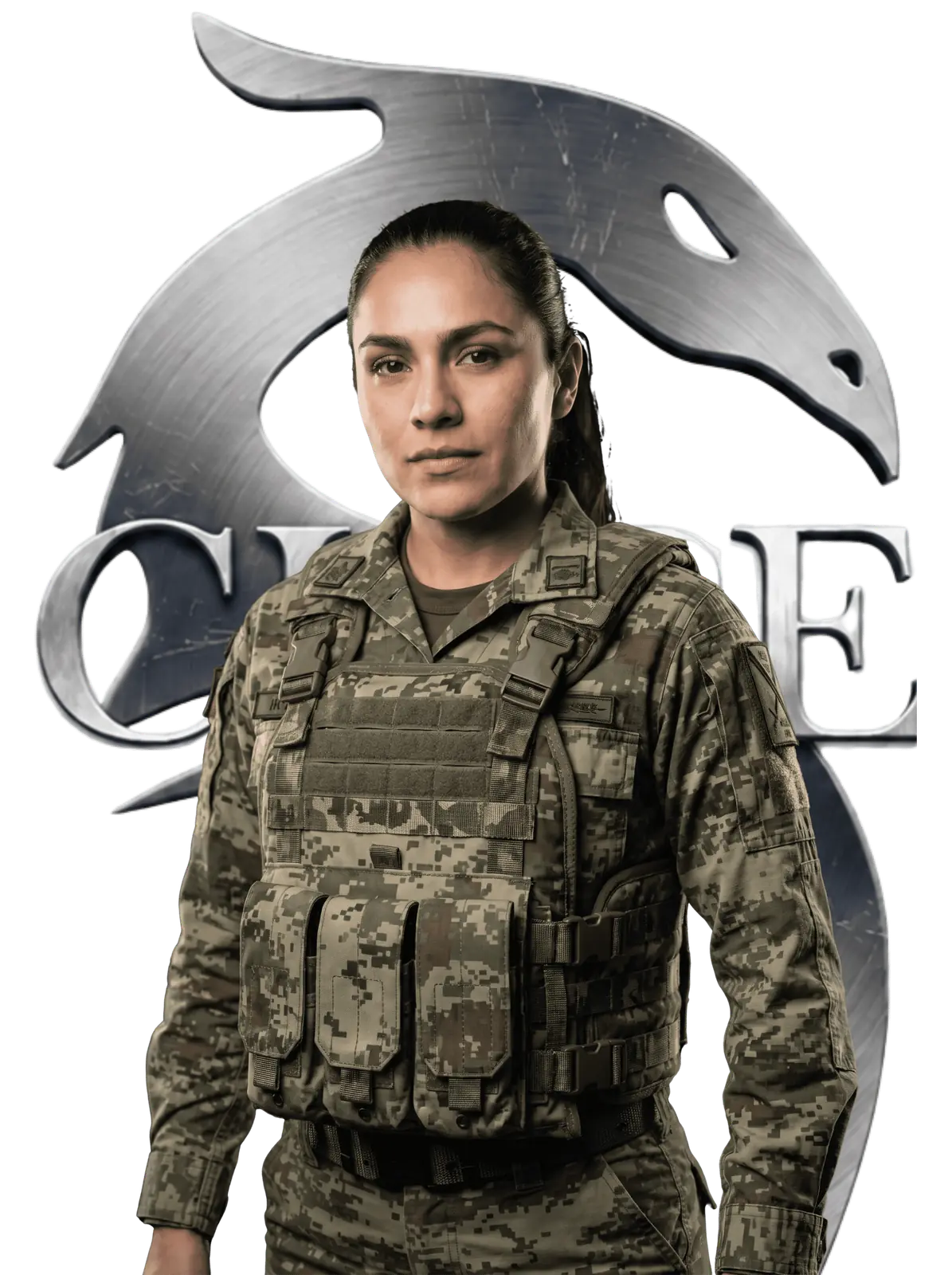 Sector Militar
