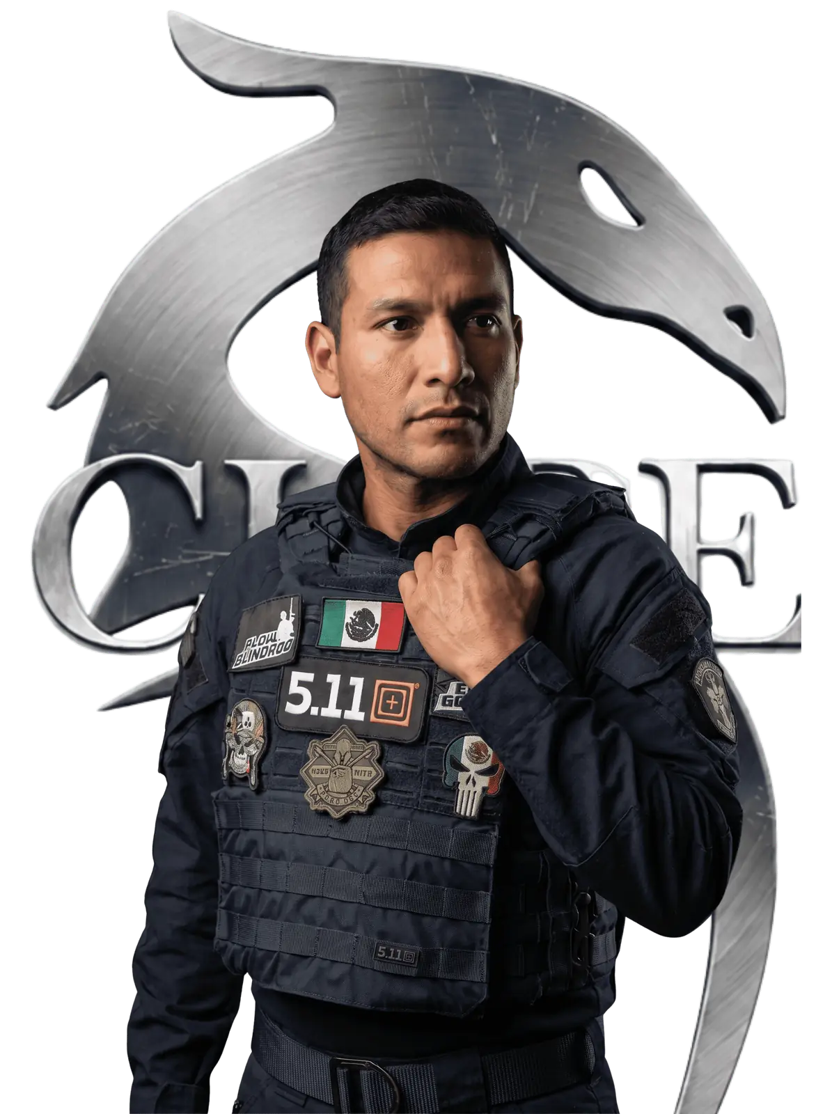 Sector Policial